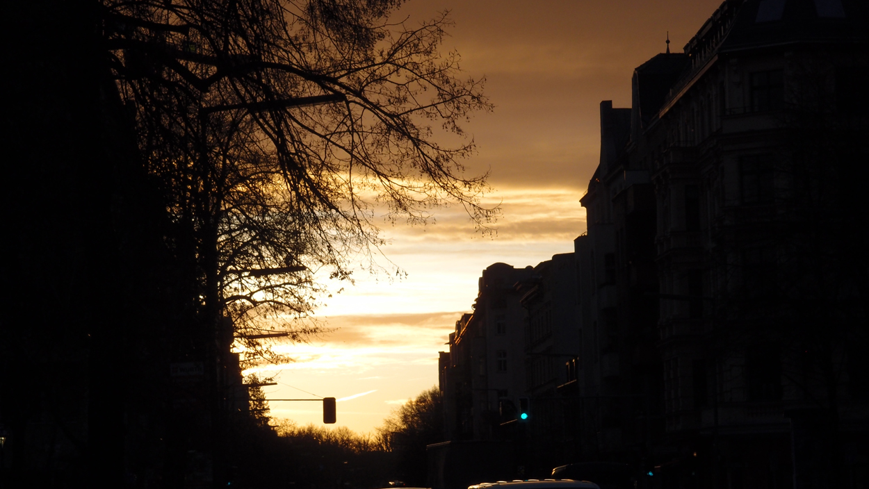 2019-12-11 Spatzen II (Fieldrecording Video)